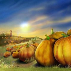 Mature Pumpkins Photography Scenery Backdrop Autumn Theme Banner MNH-067