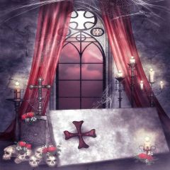 Haunted House Photography Scenery Backdrop Halloween Theme Banner MNH-068