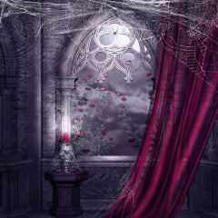 Scary House Photography Scenery Backdrop Halloween Theme Banner MNH-069