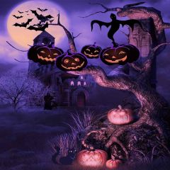 Haunted Castle Photography Scenery Backdrop Halloween Theme Banner MNH-071