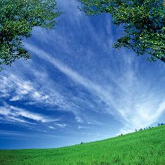 Pretty Sky Photography Scenery Backdrop Nature Theme Banner MNH-081