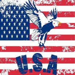 American Flag Photography Scenery Backdrop Flag Theme Banner MNH-082