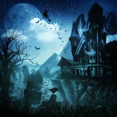 Horrible Castle Photography Scenery Backdrop Halloween Theme Banner MNH-091