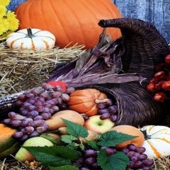 Good Harvest Photography Scenery Backdrop Autumn Theme Banner MNH-099