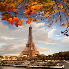Autumn In Paris Photography Scenery Backdrop Autumn Theme Banner MNH-104
