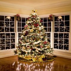 Stunning Christmas Tree Photography Scenery Backdrop Christmas Theme Banner MNH-119