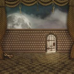 Graceful Wall Photography Scenery Backdrop Wall Theme Banner MNH-121