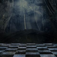 Rotten Forest Photography Scenery Backdrop Forest Theme Banner MNH-125