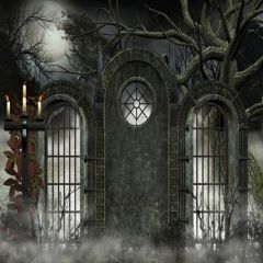 Spooky Door Photography Scenery Backdrop Halloween Theme Banner MNH-126