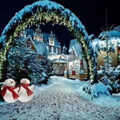 Lovely Snowman Photography Scenery Backdrop Christmas Theme Banner MNH-130