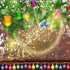 Shiny Christmas Balls Photography Scenery Backdrop Christmas Theme Banner MNH-131
