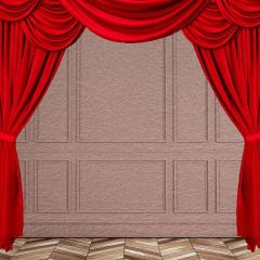 Elegant Curtain Photography Scenery Backdrop Stage Carpet Theme Banner MNH-151