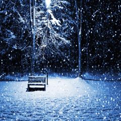 Snowy Night Photography Scenery Backdrop Snow Theme Banner MNH-156