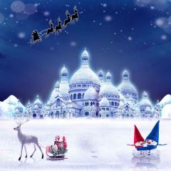 Holy Christmas Photography Scenery Backdrop Snow Theme Banner MNH-162