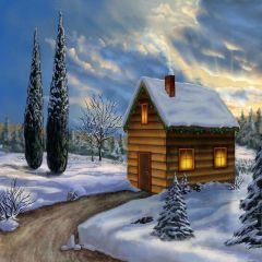 Snowy Cabin Photography Scenery Backdrop Snow Theme Banner MNH-166