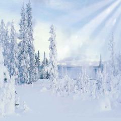 Snowy Forest Photography Scenery Backdrop Snow Theme Banner MNH-167