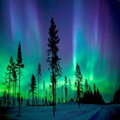 Aurora In Forest Photography Scenery Backdrop Night Theme Banner MNH-170