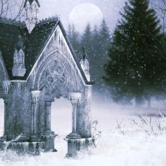 Freezing Castle Photography Scenery Backdrop Snow Theme Banner MNH-172