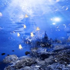 Sea World Photography Scenery Backdrop Ocean Theme Banner MNH-173