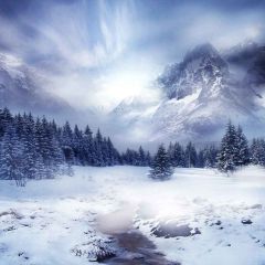 Freezing World Photography Scenery Backdrop Snow Theme Banner MNH-176