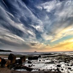 Seaside Sunrise Photography Scenery Backdrop Ocean Theme Banner MNH-179