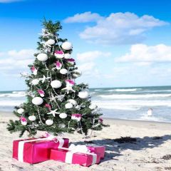Seaside Christmas Tree Photography Scenery Backdrop Christmas Theme Banner MNH-184