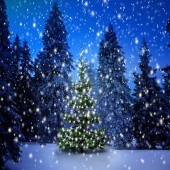 Shiny Christmas Tree Photography Scenery Backdrop Christmas Theme Banner MNH-188