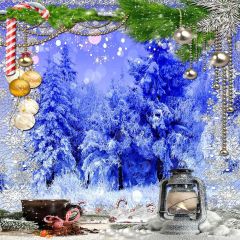 Frozen Christmas Photography Scenery Backdrop Christmas Theme Banner MNH-198