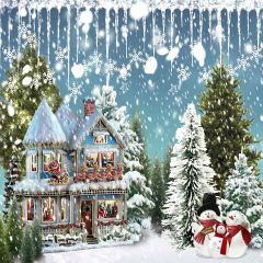 Snowy Christmas House Photography Scenery Backdrop Christmas Theme Banner MNH-206