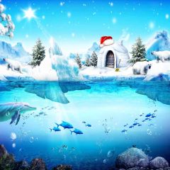 Snowy Lake Photography Scenery Backdrop Christmas Theme Banner MNH-211