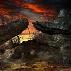 Tough Stone Photography Scenery Backdrop Nature Theme Banner MNH-244