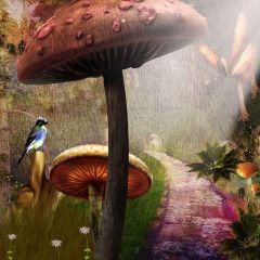 Dreamlike Road Photography Scenery Backdrop Road Theme Banner MNH-251