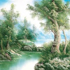 Oil Painting River Photography Scenery Backdrop Nature Theme Banner MNH-257