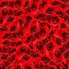 Rose Wall Photography Scenery Backdrop Love Theme Banner MNH-267