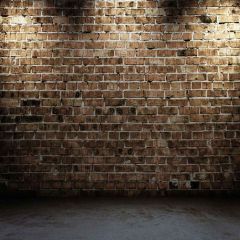 Brick Wall Photography Scenery Backdrop Wall Theme Banner MNH-273