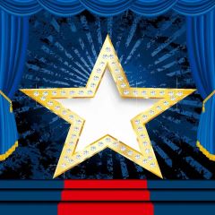 Shiny Star Wall Photography Scenery Backdrop Stage Carpet Theme Banner MNH-275