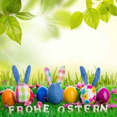Adorable Easter Egg Photography Scenery Backdrop Festival Celebration Theme Banner MNH-280