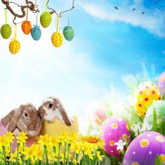 Cute Easter Egg With Rabbit Photography Scenery Backdrop Festival Celebration Theme Banner MNH-281