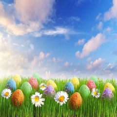 Lovely Easter Egg Photography Scenery Backdrop Festival Celebration Theme Banner MNH-282