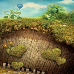 Lovely Grassland Photography Scenery Backdrop Nature Theme Banner MNH-283