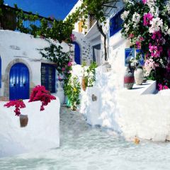 Pretty House Photography Scenery Backdrop Streetscape Theme Banner MNH-357