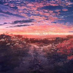 Pretty Cloud Photography Scenery Backdrop Nature Theme Banner MNH-360