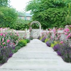 Pretty Garden Photography Scenery Backdrop Garden Scenery Theme Banner MNH-364