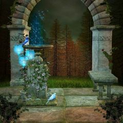 The Gate Photography Scenery Backdrop Architectural Theme Banner MNH-374