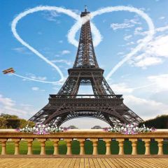 Eiffle Tower Photography Scenery Backdrop Landmark Theme Banner MNH-377