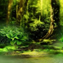 Pretty Forest Photography Scenery Backdrop Nature Theme Banner MNH-383