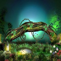 Fantastic Forest Photography Scenery Backdrop Nature Theme Banner MNH-390