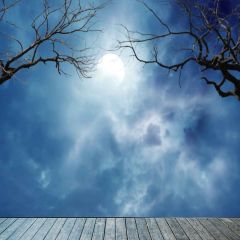 Pretty Moon Photography Scenery Backdrop Nature Theme Banner MNH-391