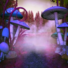 Wonderland Photography Scenery Backdrop Fantasy Theme Banner MNH-400