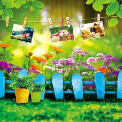 Cute Fence Photography Scenery Backdrop Garden Scenery Theme Banner MNH-401